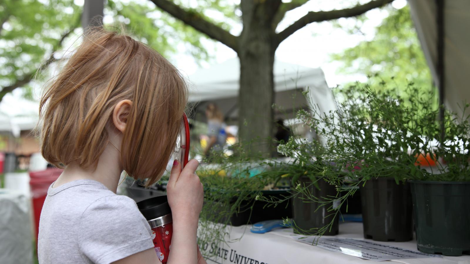 A young child explores Arabidopsis with a magnifying glass at WestFest 2018