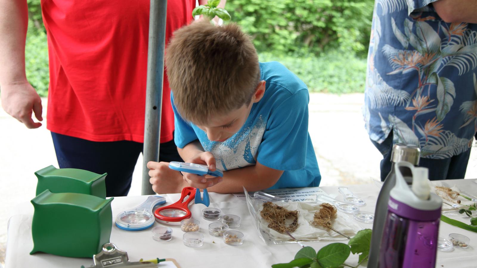 A young person explores plants at WestFest 2018