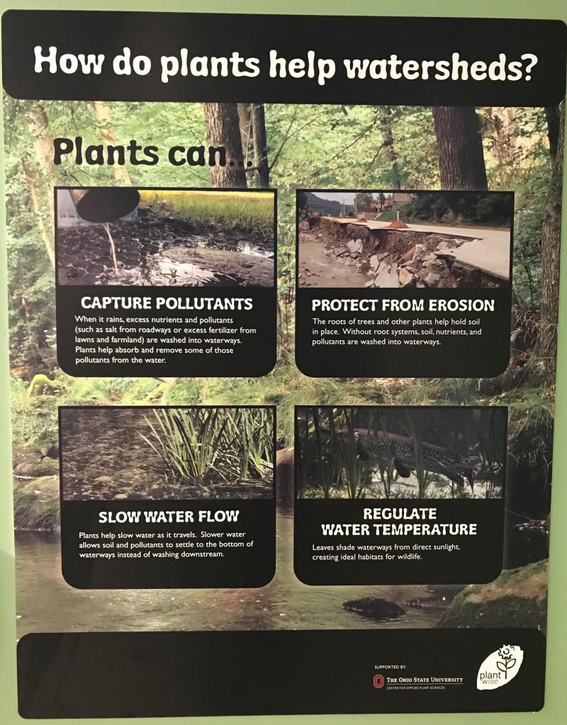 Plant Wise sign in Lily Pad exhibit