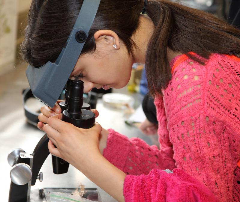A middle school student observes plants under a microscope during a field trip