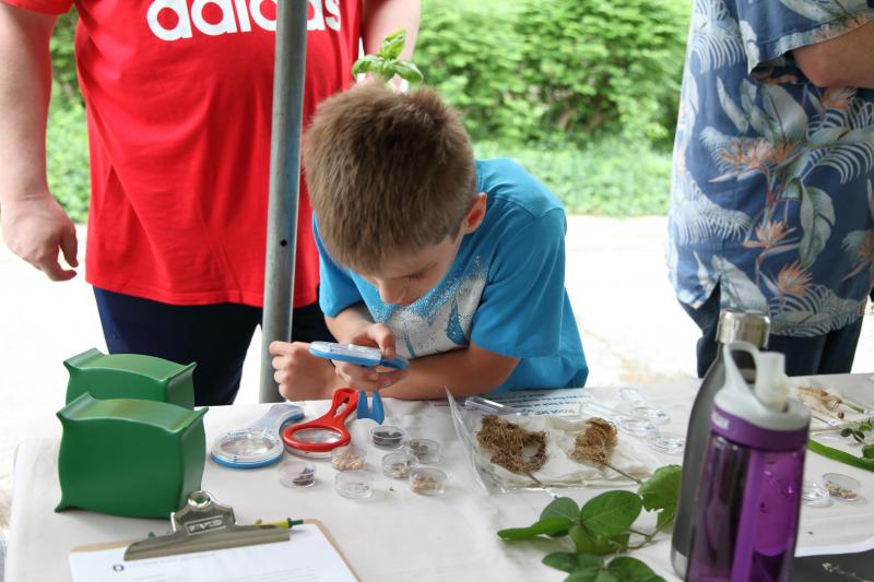 A young person explores plants at WestFest 2018