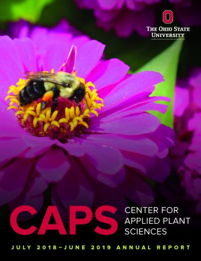 CAPS Annual Report Front Page