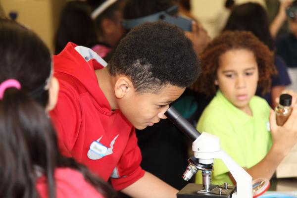 Students explore plant samples under the microscope 
