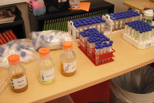 Supplies to extract DNA from applesauce