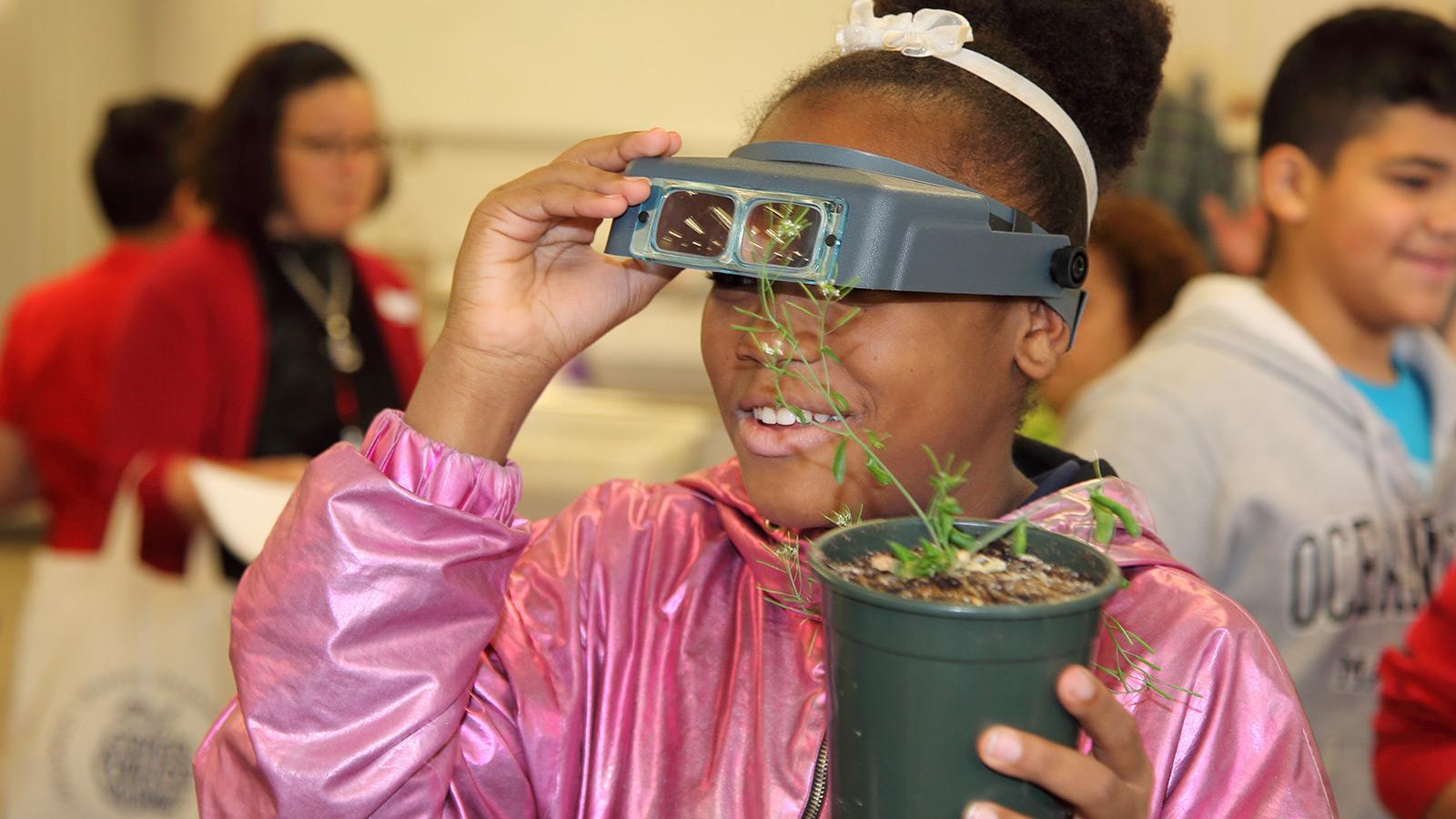 Middle school student wearing a magnifying headband and holding an Arabidopsis plant