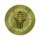 CAPS Corn Logo